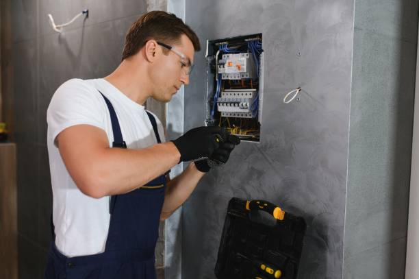 Best Electrical Upgrades for Homes  in Walworth, WI