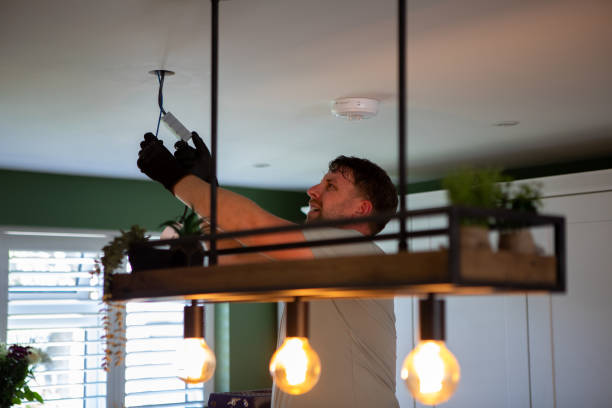 Best Residential Electrician Services  in Walworth, WI