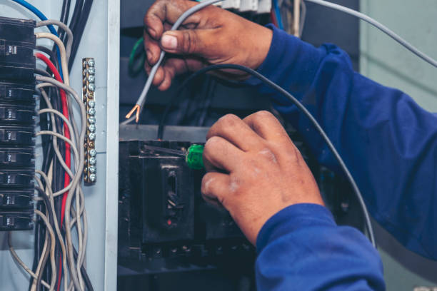 Best Electric Panel Repair  in Walworth, WI