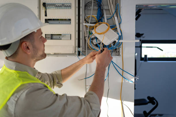 Best Electric Panel Repair  in Walworth, WI